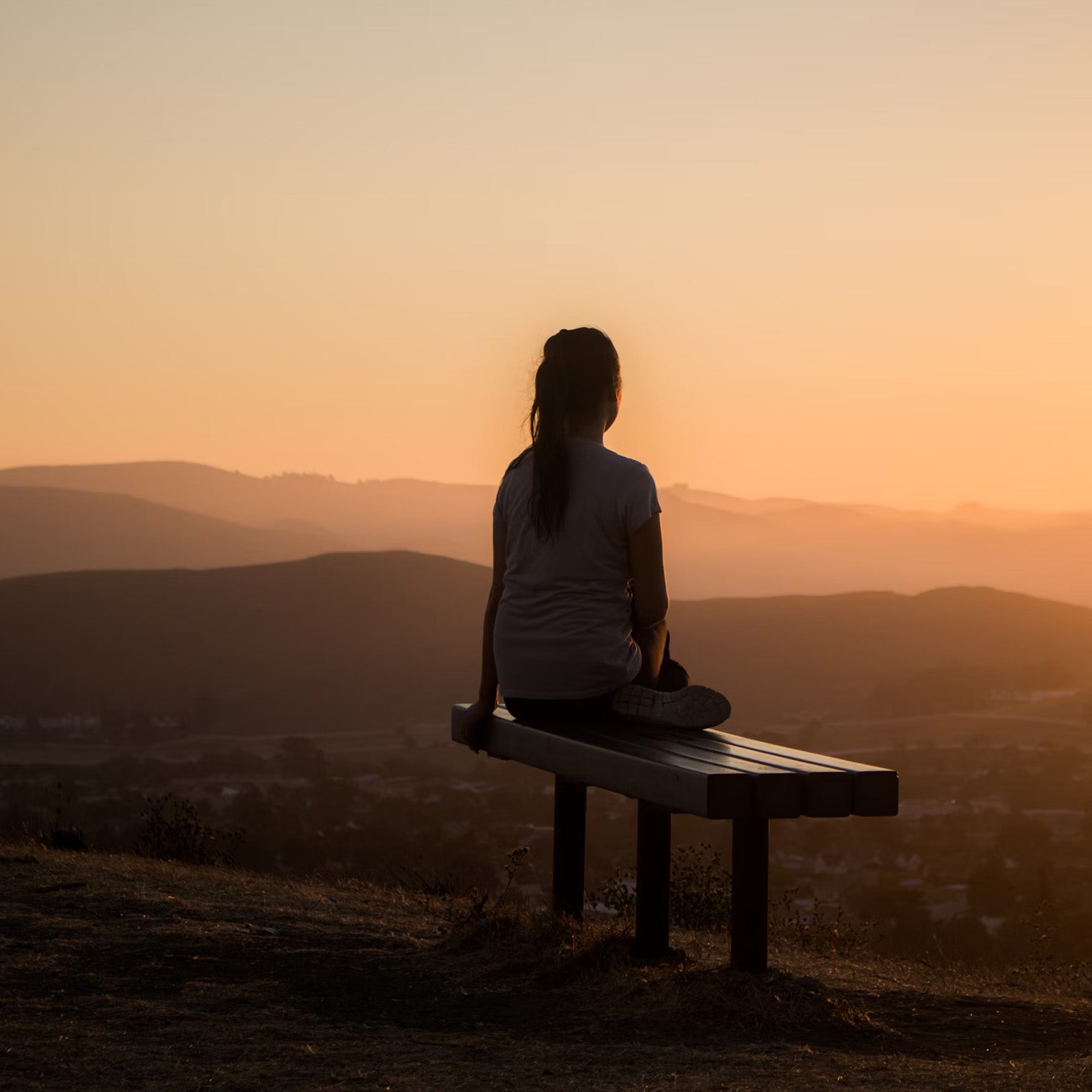 The Gut-Brain Connection Deep Dive: Inulin and Lactobacillus Rhamnosus for Mood and Relaxation