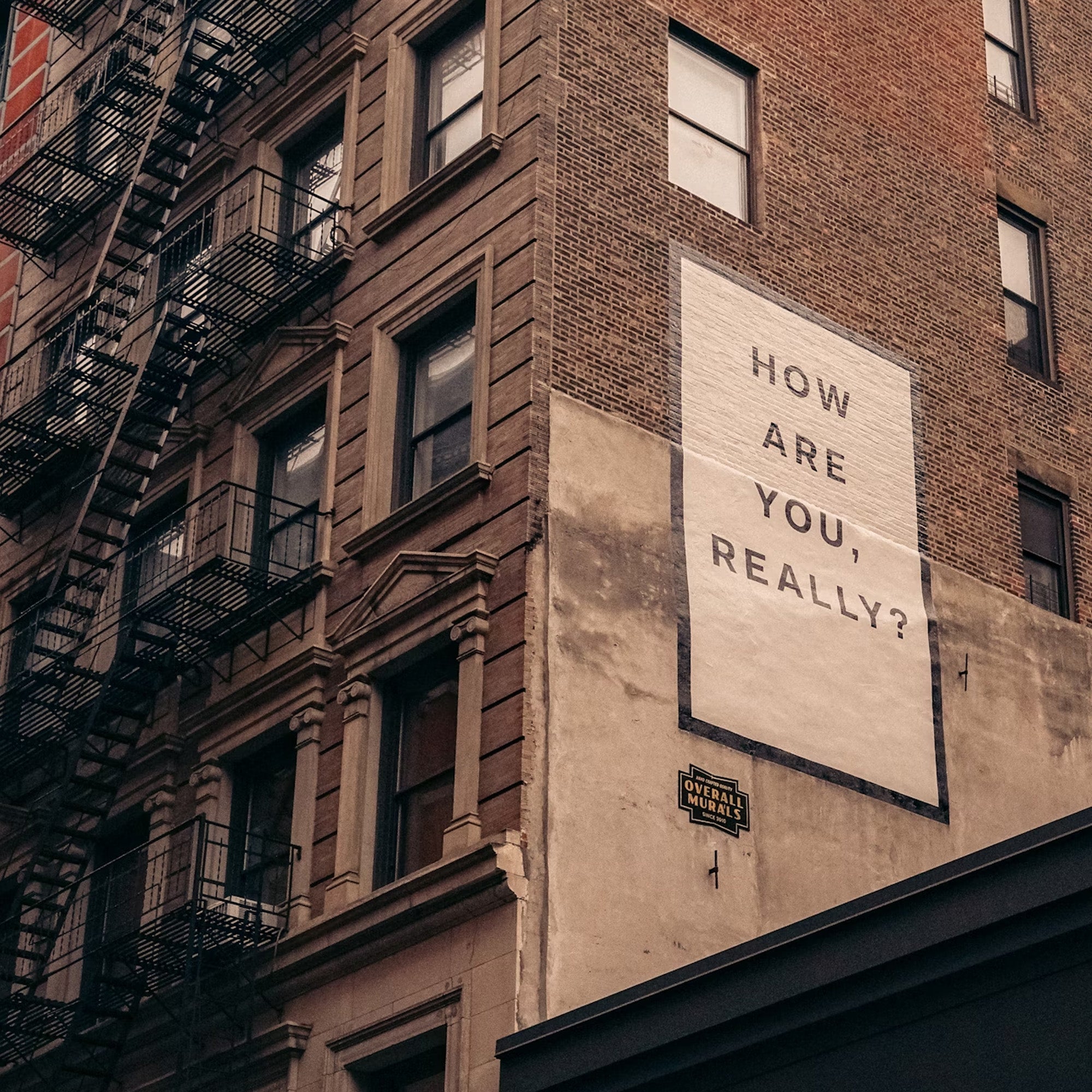 Beyond Bloating: The Surprising Mental Health Benefits of a Balanced Gut