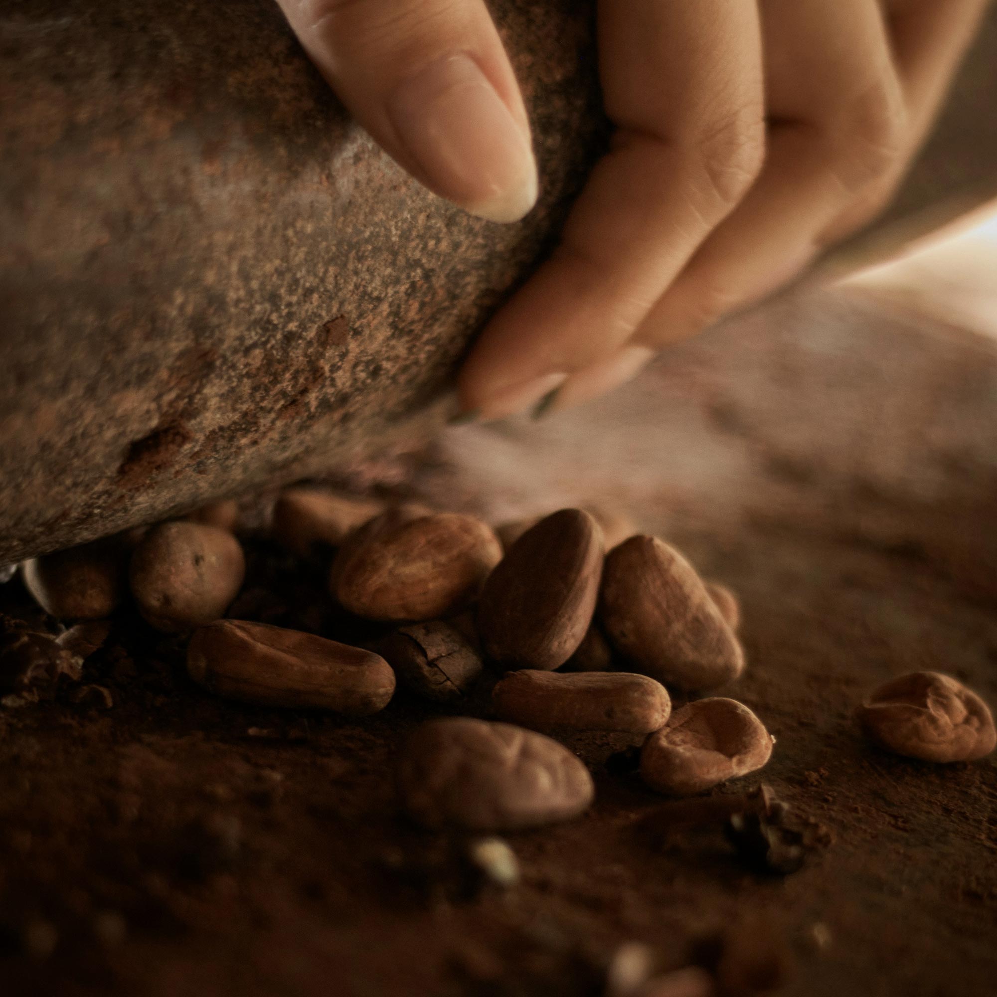 Unlock Your Flowstate: The Synergistic Power of Cacao, Adaptogens, and Gut Health for Optimal Well-being